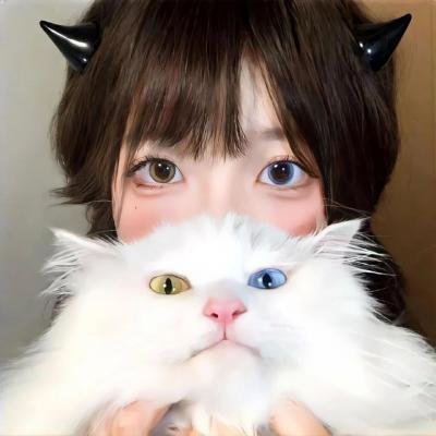 孖生老虎